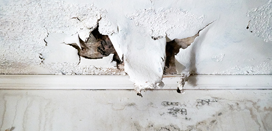 Emergency and Scheduled Repairs Available